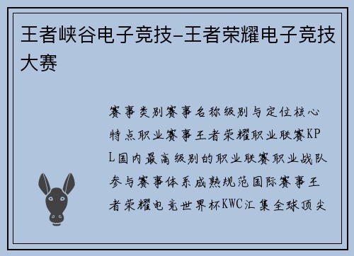 王者峡谷电子竞技-王者荣耀电子竞技大赛